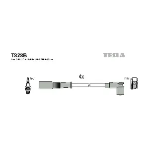 T 828 B TESLA