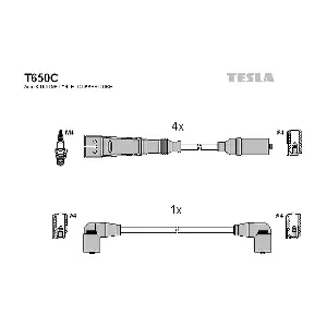 TESLA T650C