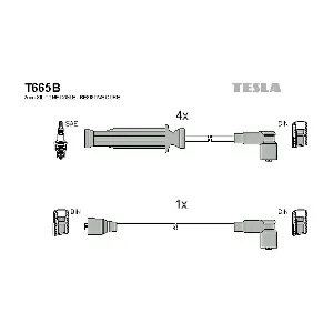 TESLA T665B