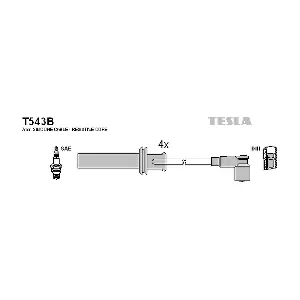 T543B TESLA