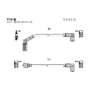 TESLA T791B