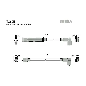 T266B TESLA