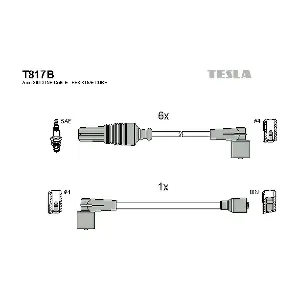 T817B TESLA