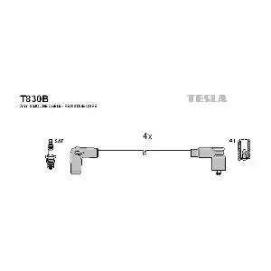 T830B TESLA