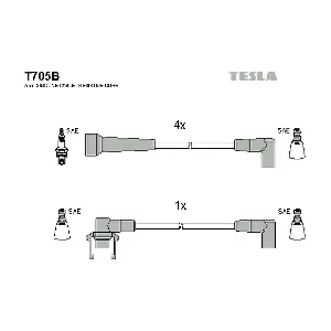 T705B TESLA