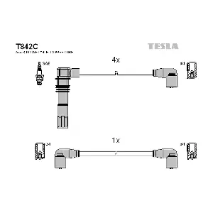 T842C TESLA