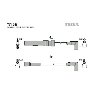 T710B TESLA