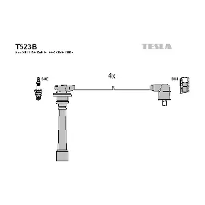T523B TESLA