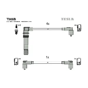 T006B TESLA