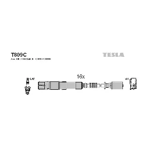T 809 C TESLA