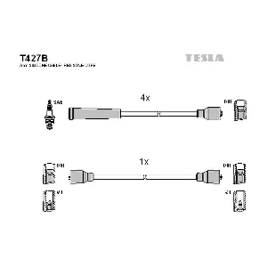 T427B TESLA