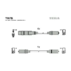 T067B TESLA