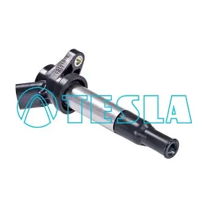 CL 234 TESLA