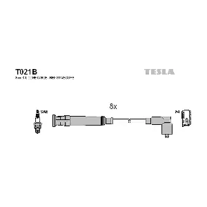 T021B TESLA