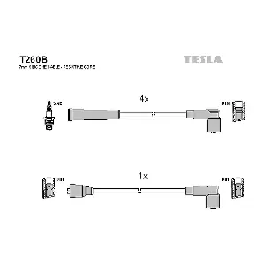 T260B TESLA