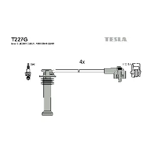 T227G TESLA