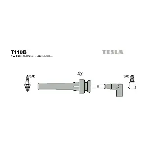 T 110 B TESLA