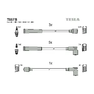 T667B TESLA
