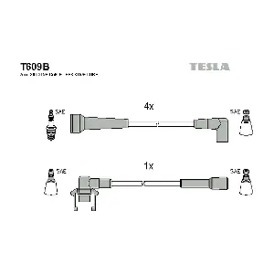 TESLA T609B
