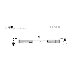 T833B TESLA