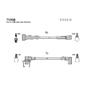T196B TESLA