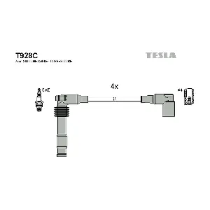 T928C TESLA