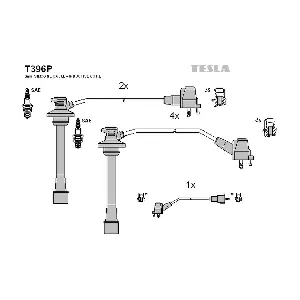 9091921557 TESLA