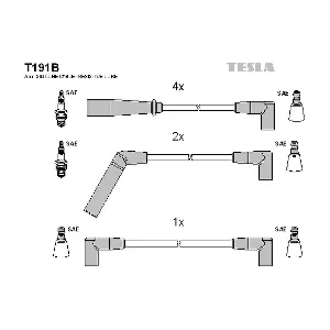 T191B TESLA