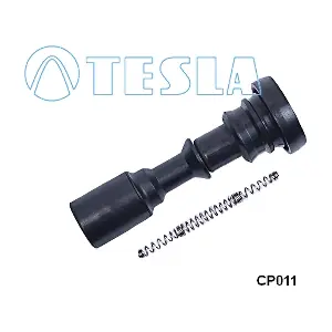 CP011 TESLA