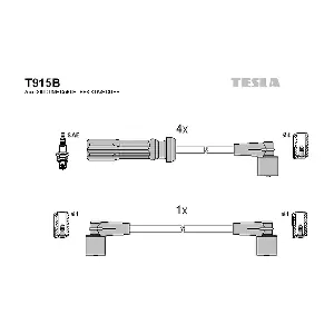 T915B TESLA