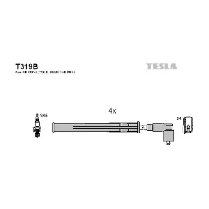 T 319 B TESLA