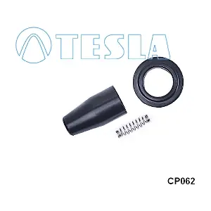 TESLA CP062