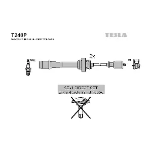 TESLA T248P