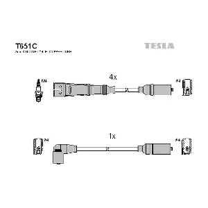 TESLA T651C