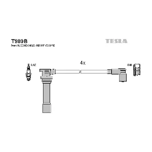 T980B TESLA