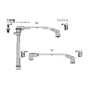 T265B TESLA