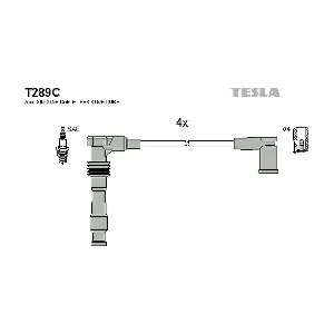 T 289 C TESLA
