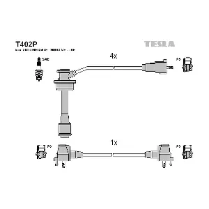 T402P TESLA
