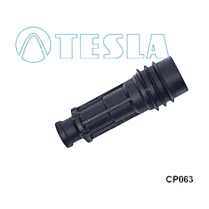 CP063 TESLA