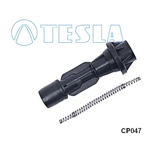 CP047 TESLA