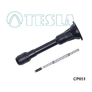 CP051 TESLA
