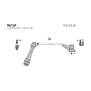 T973P TESLA