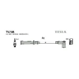 T575B TESLA