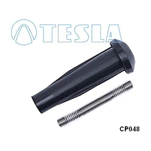 CP048 TESLA