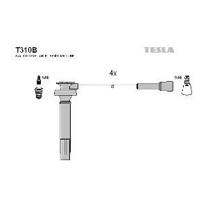 T310B TESLA