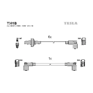 T381B TESLA