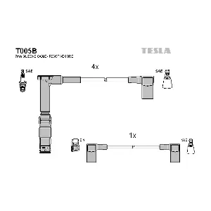 T005B TESLA