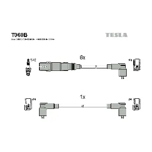 T060B TESLA