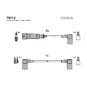 TESLA T971C