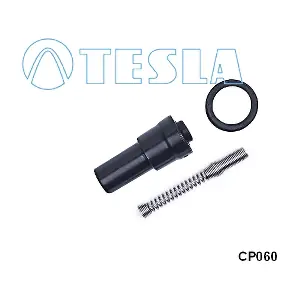 CP060 TESLA